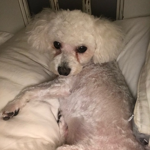 Meet your Posher, Ashley - Picture 1 of 1